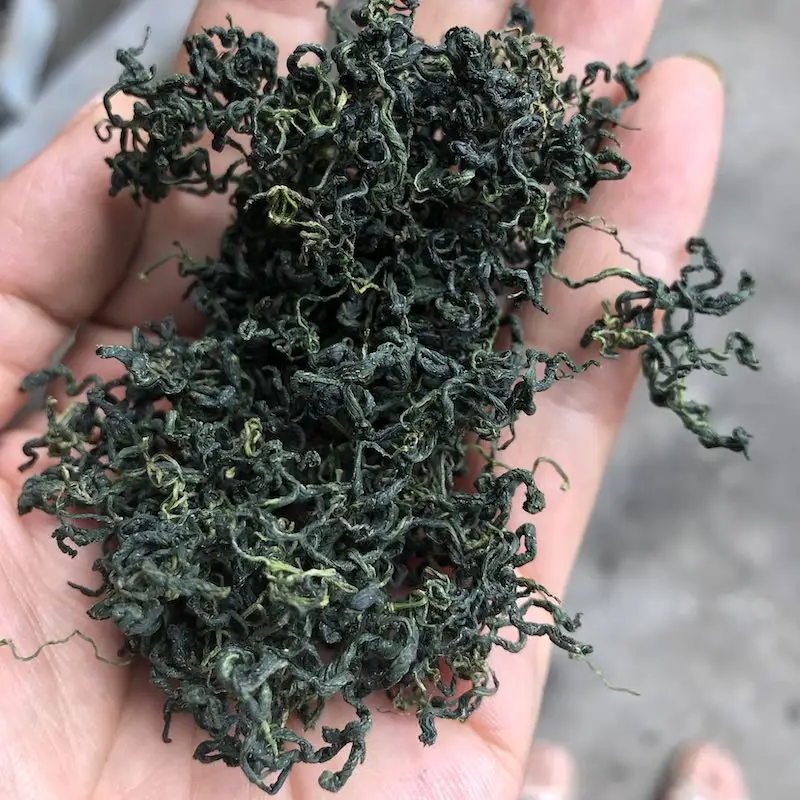 100% Pure Natural Plant Gynostemma Extract Powder 20%~98% Gypenoside Pentaphyllum