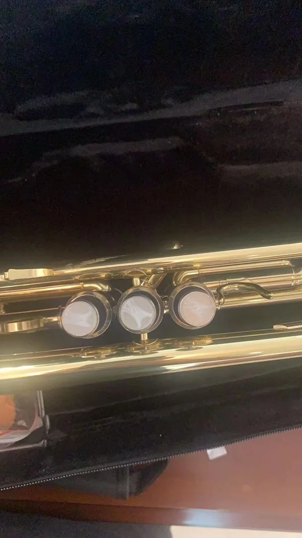 Popular Trumpet trumpet(HTL-671)