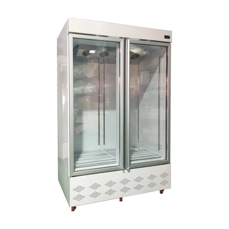 Display Fridge For Drinks Display Cooler Fridge Drinks 2 Sliding Doors Coca Fridge Cola