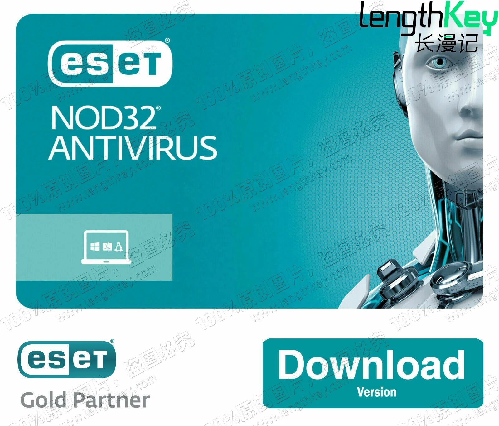 24/7 Online Genuine License ESET Internet Security Key 5 Device 1 Year Privacy Protection Antivirus Software Nod32 AntiVirus