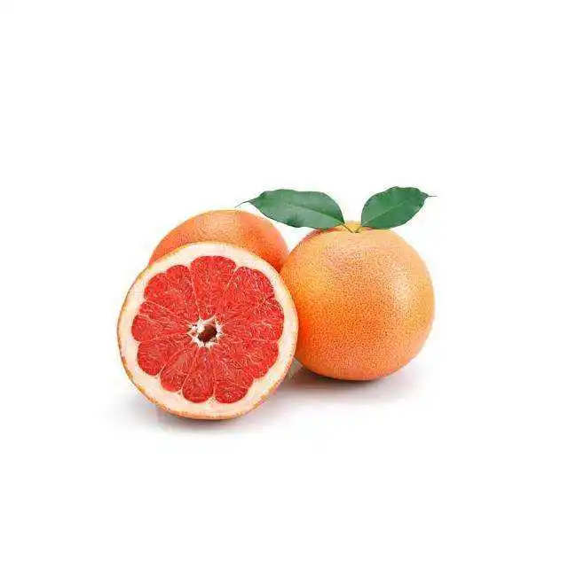 Factory Supply Wholesale Grapefruit Extract Powder Fruit Juice Powder for Health Food Food Grade Packaged Bag Drum Can MOQ 1kg