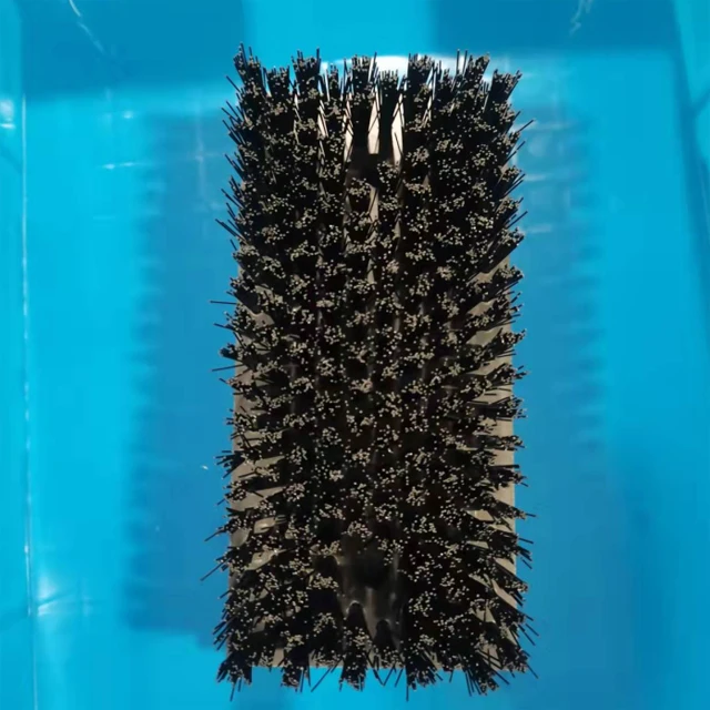 strong brush2.jpg