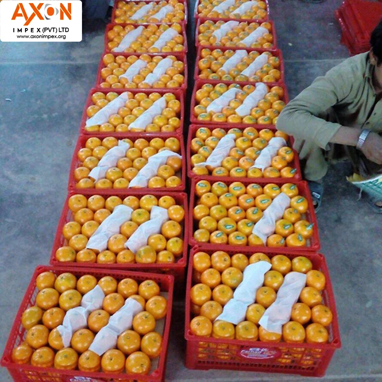 
100% Pure Natural Fresh Citrus Naval Oranges, Valencia Orange, Lemons, Mandarins and Lime 