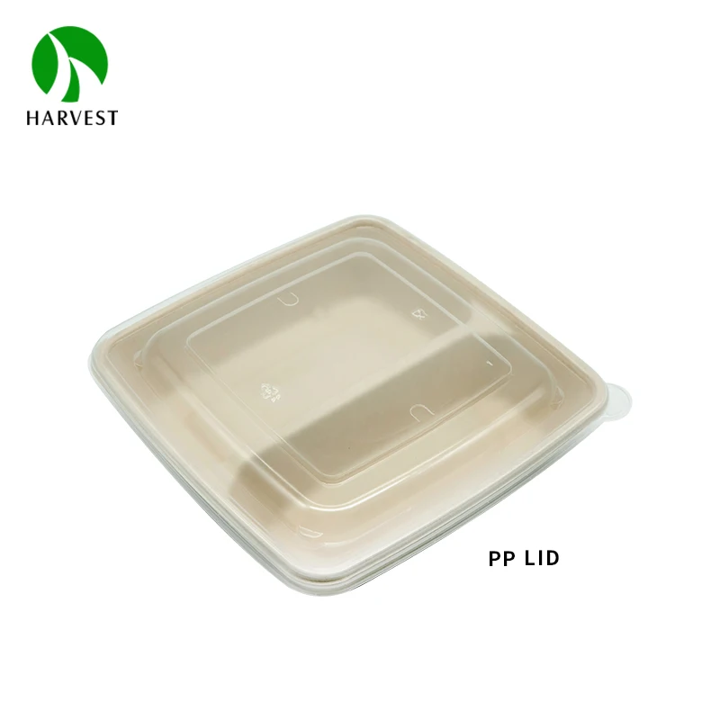 Bagasse 8x8 inch 2 Compartment Sugarcane Pulp Fiber Food Packaging Lunch Box Container With Lid