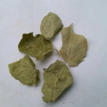 
horny goat weed extract Icariin 98% Epimedium Extract powder 