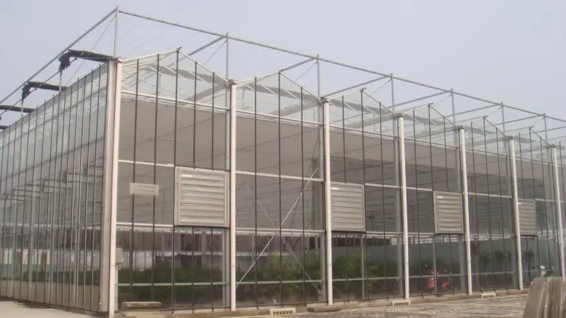 
multi-span glass hydroponic growing systems greenhouse sale 
