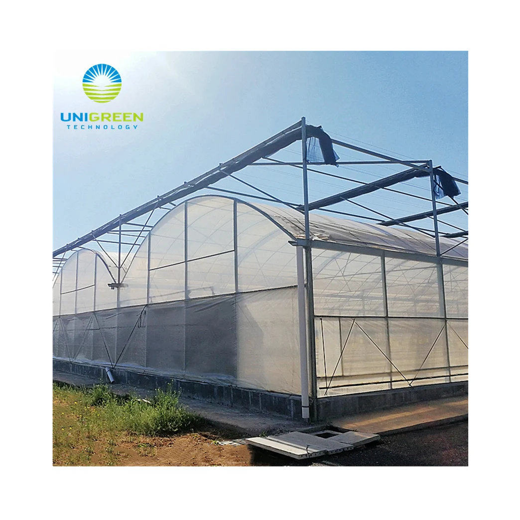  Factory Direct Selling New Type Multi-Span Flowers Vegetables Plant Aluminum Greenhouse Manufacturer