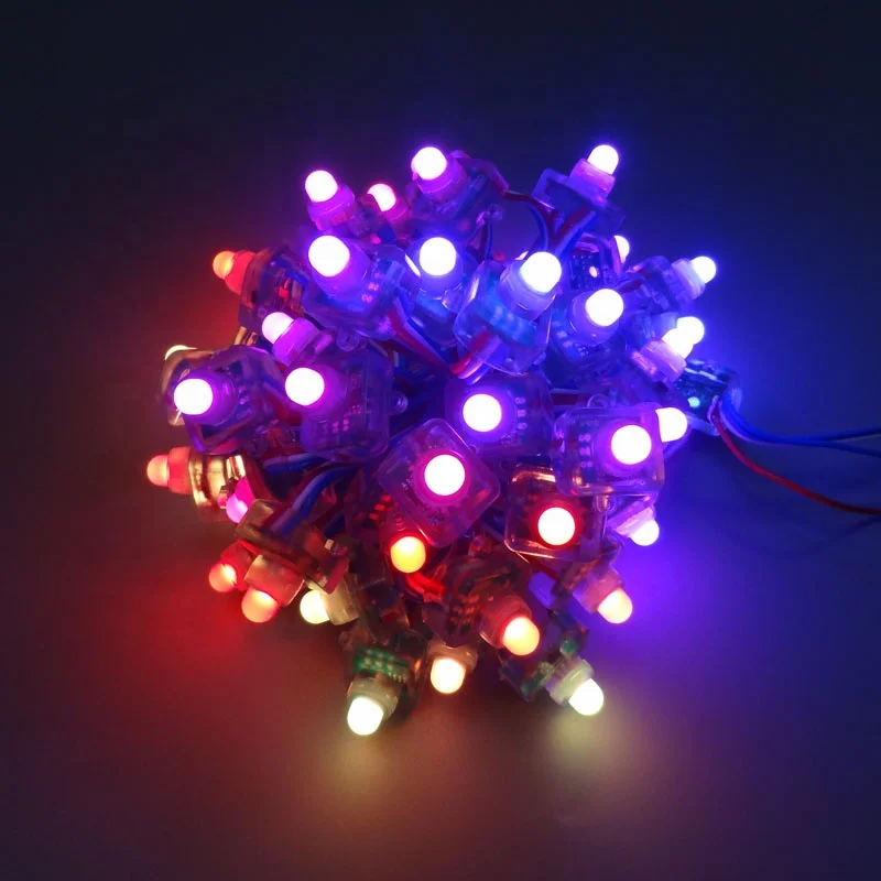 Shenzhen factory supply square type 12mm DC5V input WS2811IC addressable RGB pixel LED string light 50pcs per string IP68