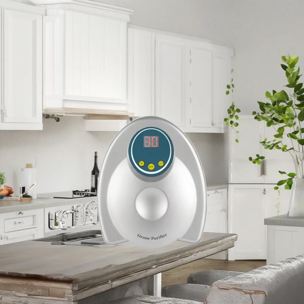 Electric Powered Household Ozone Generator for Washes Vegetables and Fruits