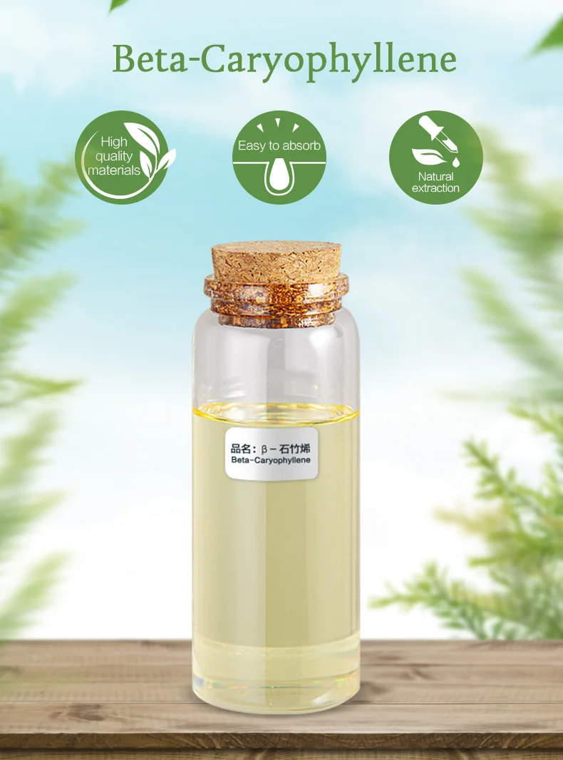 High Quality natural flavor Beta caryophyllene CAS 87-44-5 in daily chemical