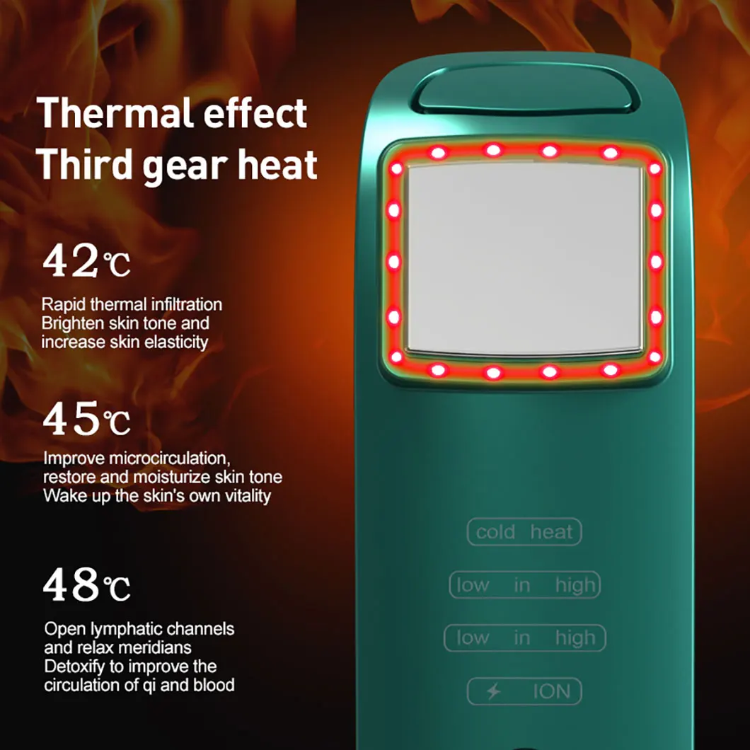 Home Use Equipment Skin Care & Tools Face Massager Skin Rejuvenation Hot and Cold Ion Beauty Device