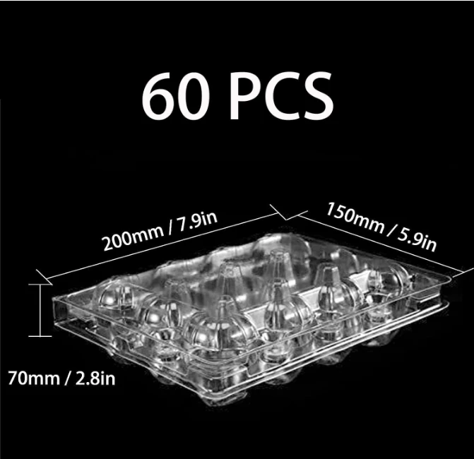 Plastic Egg Cartons Cheap Bulk 1 Dozen Clear Empty Egg Cartons for Chicken Eggs