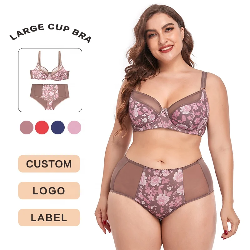 Upgraded Women Hipsters Sheer Scallop Contrast Lace Embroidered Breathable Print Period Panties Plus Size Briefs Panty for Women