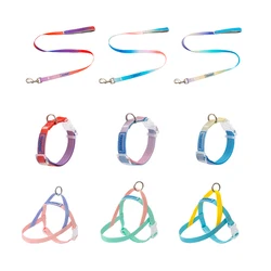 All kinds of pet leashes chain pet dog leash harness pet leash rope