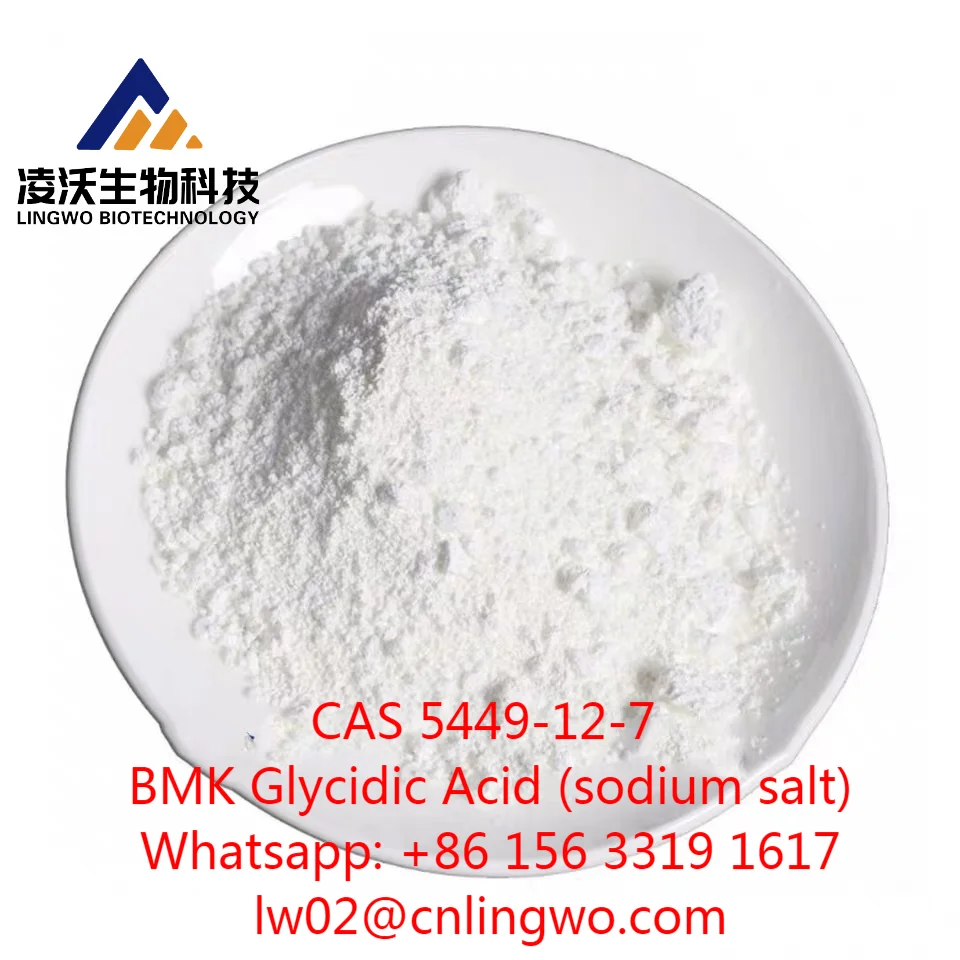 Wholesale Price BMK Glycidic Acid (sodium salt) BMK Powder CAS 5449-12-7 with Fast Delivery BMK White Powder