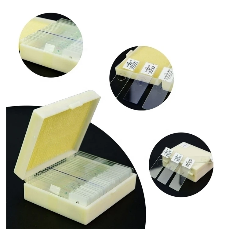 25 штук учебное и научно-исследовательских биологической броши в виде бабочек насекомых животных завод зоологии ботаника микробиологии подготовленные микроскопы шлепанцы без задника с