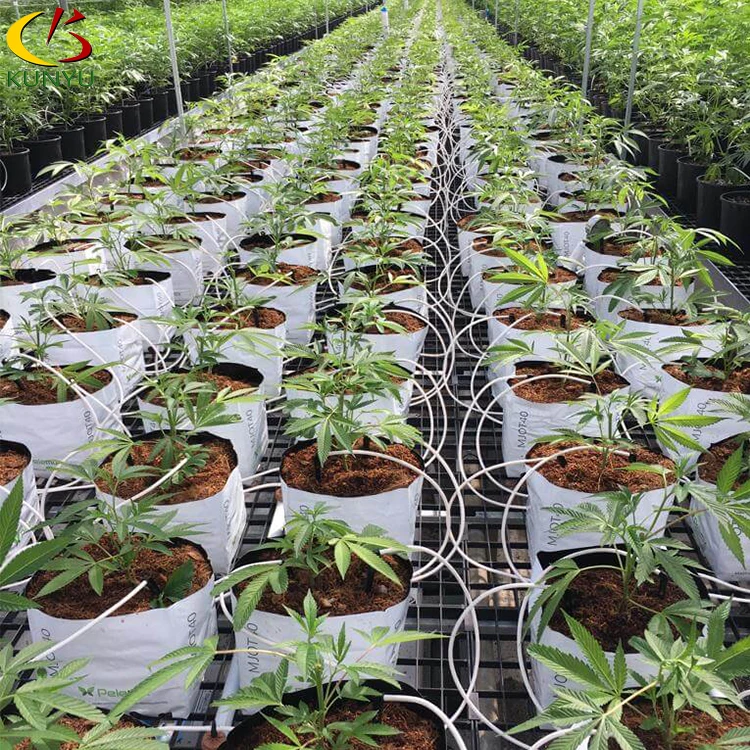 Hemp Growing Greenhouse Commercial Farming Blackout Green House For Sale