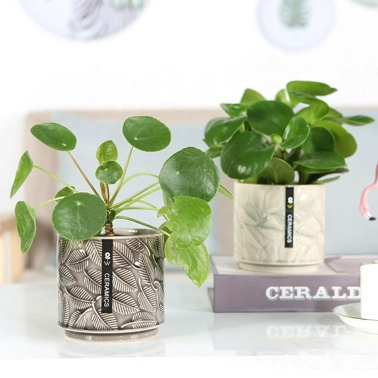 Popular Eco-friendly Novel Ceramic Glazed Flower Pot Porcelain Plant Pot Creativity Cylindrical Stoneware Planter for Home Decor