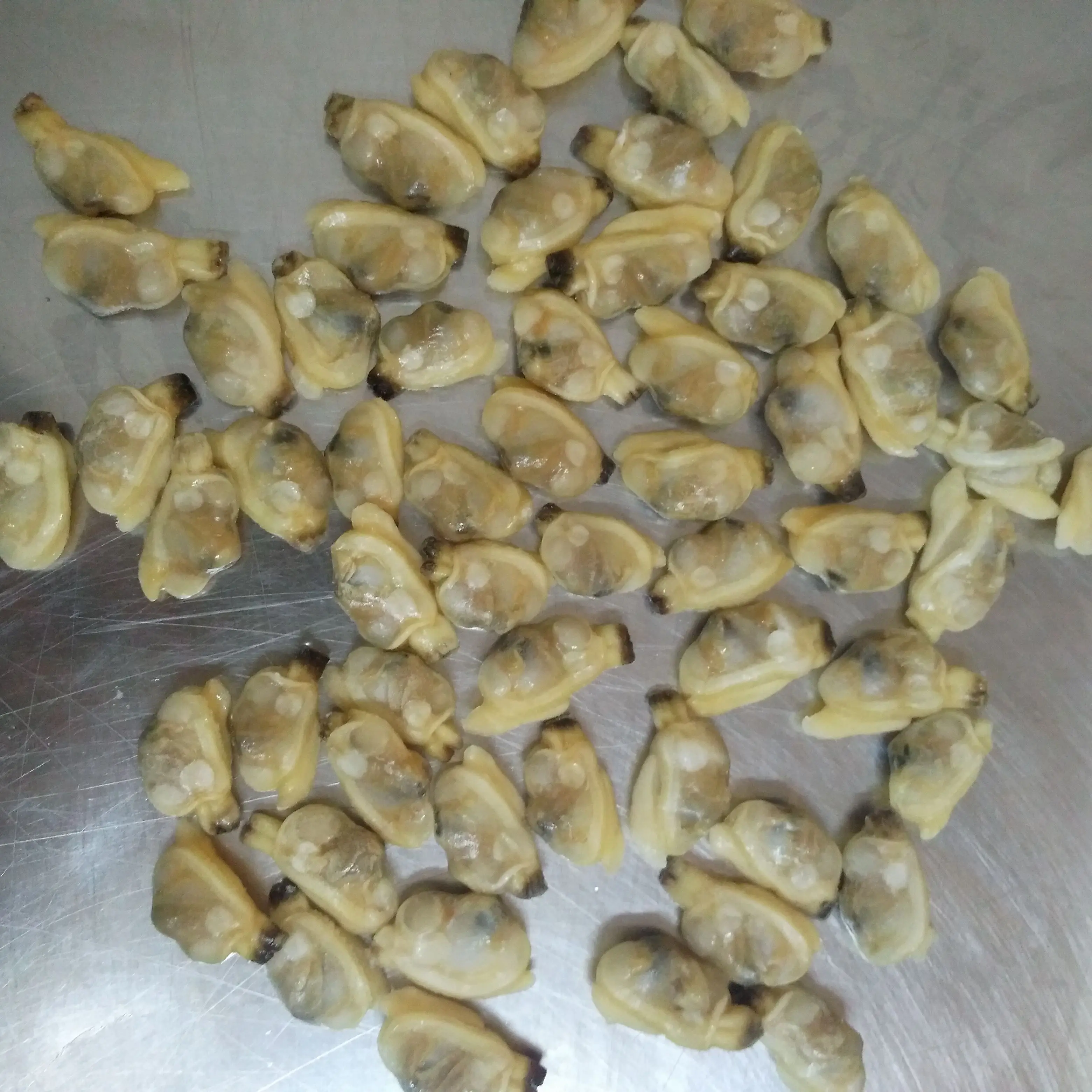 Certifications Frozen Mussel Meat without Shell Seafood