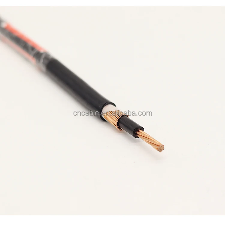 XLPE/PVC Insulation 2*10mm2 Copper or Aluminum Concentric Cable