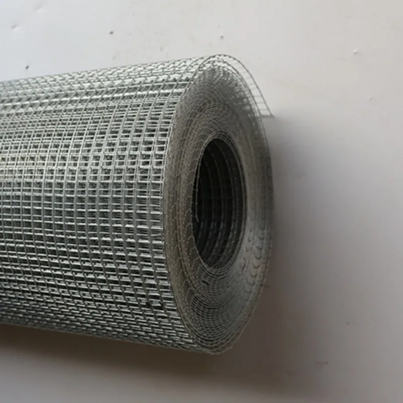 Galvanized breeding wire mesh Place the wall break mesh Reinforced wire welded wire mesh