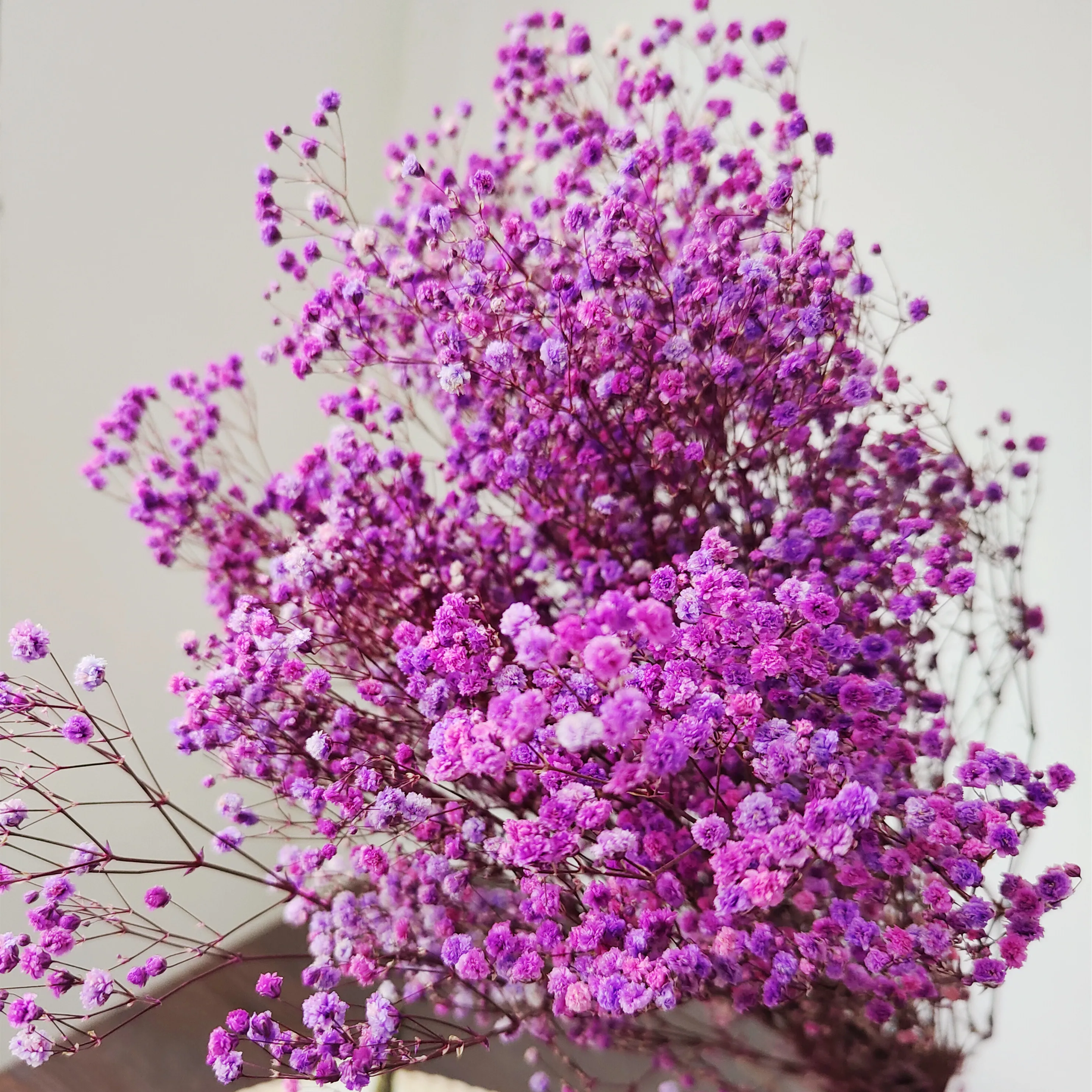 Сконсервированный детский цветок для свадьбы 1 пачка 100-120 г ручной работы для домашнего использования