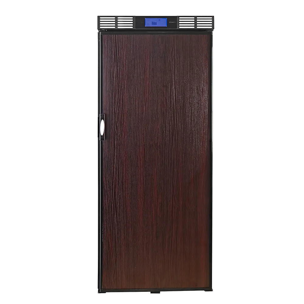 
12v 24 Volt Camping Car Upright RV Fridge Freezer Refrigerator 100L For Caravans 