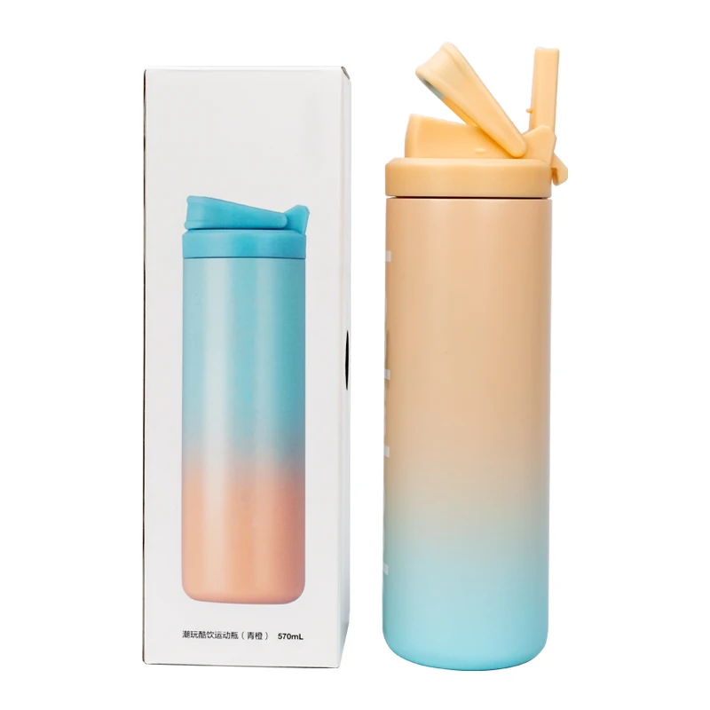 Luxury Colorful 20oz Sport Insulated Stainless Steel Water Bottle With Plastic Straw Lid Applicable To Dishwashers