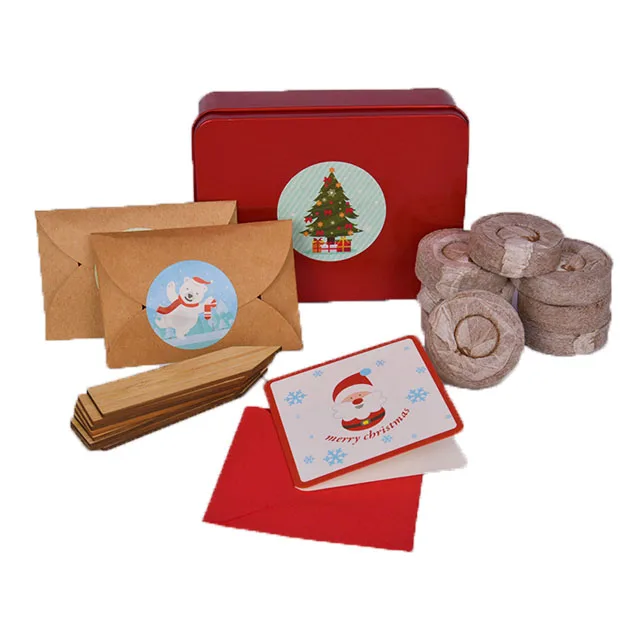New Design Bonsai Growing Kit for Customized Christmas Gift- DIY Garden for Planting Flowers and Trees