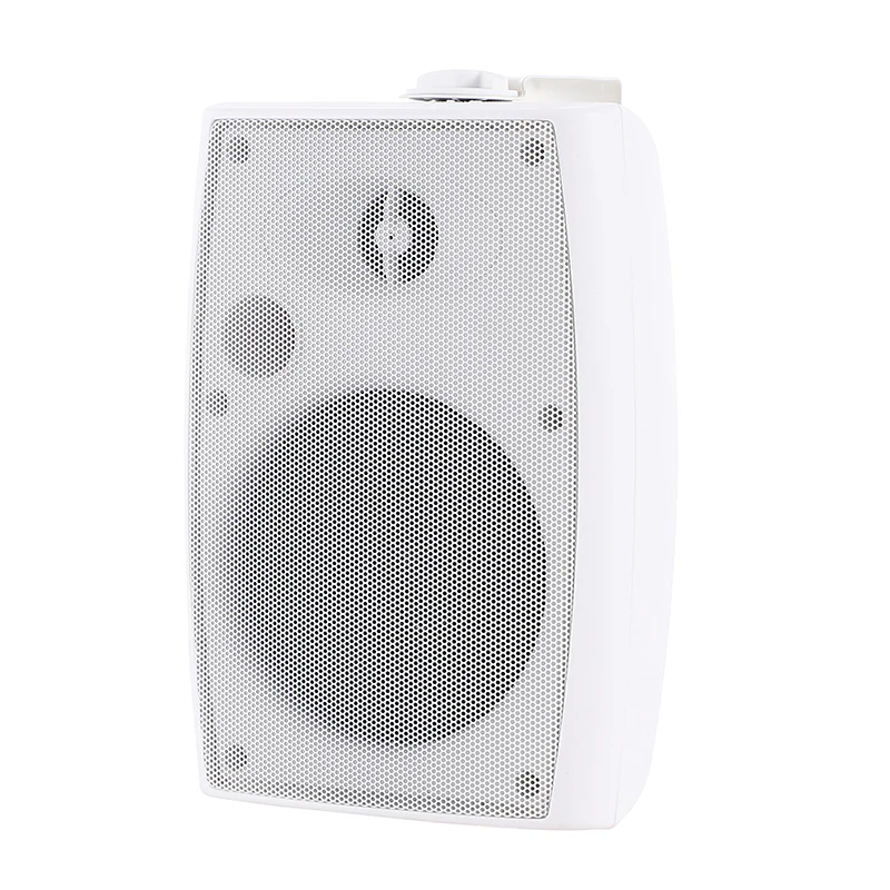 Speakers Hot Selling 4 Inch Shallow Mount Subwoofer Classroom In-Wall Wall Mount Speakers DUAL USE