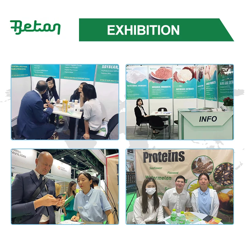 Beton Supply Natural 20% 40% Aescins Aesculus Hippocastanum Horse Chestnut Seed Extract Powder Aescin 20% Escin HPLC Price