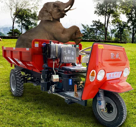 hot sales cargo tricycle