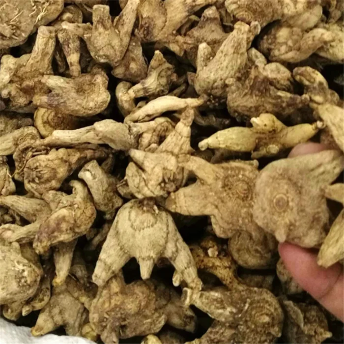 Bai ji Wholesale Herbal Rhizoma Bletillae Dried Bletilla Striata Root