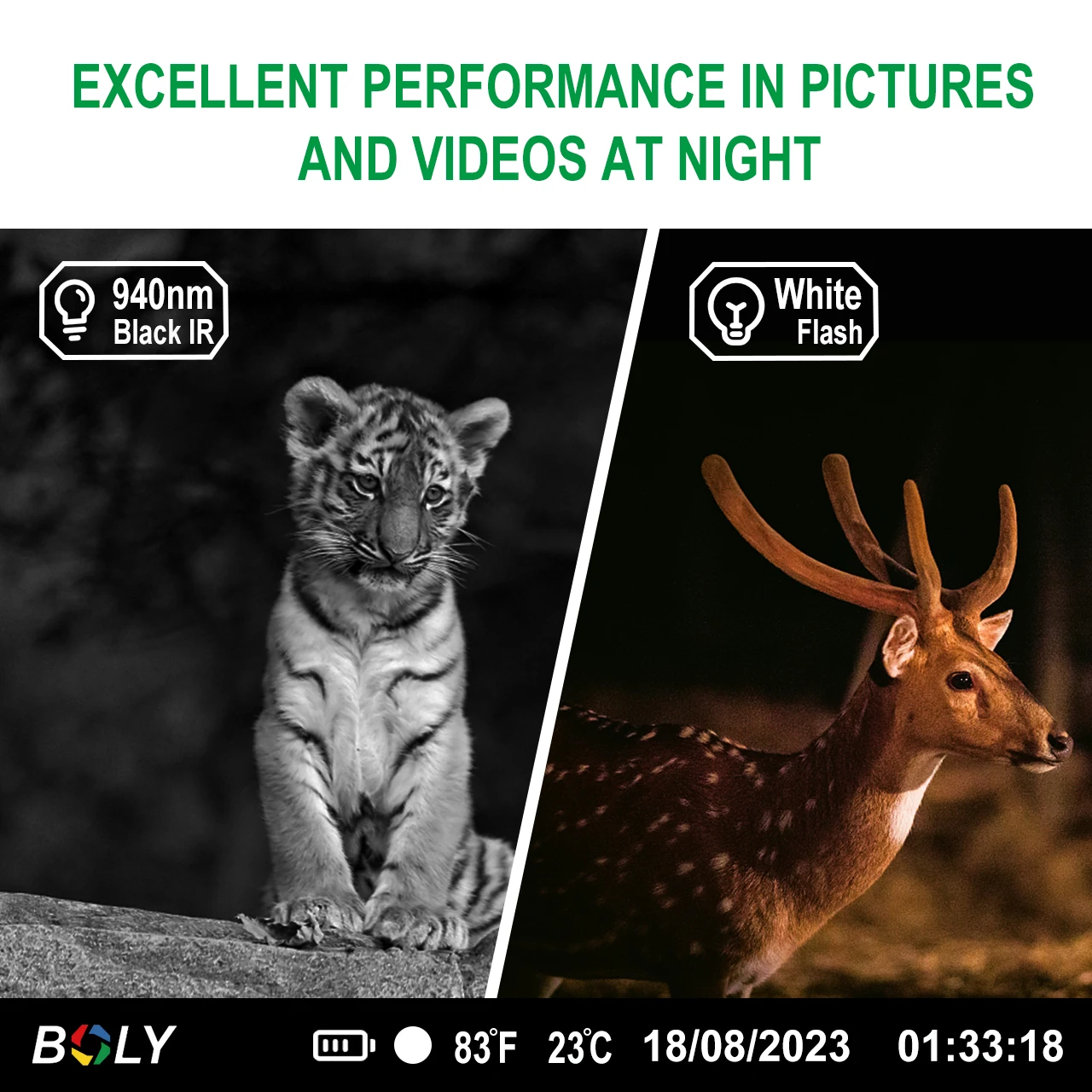 Boly BG662-D  4K trail camera