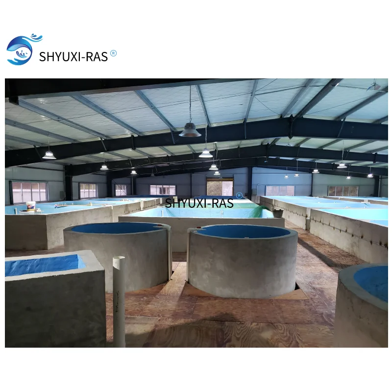 Оборудование для рыбоводства для помещений ras, для продажи, большая промышленная рециркуляция рыбы, Ферма для аквакультуры, система ras