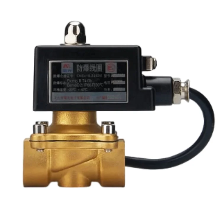Explosion Proof solenoid valve 12 volt 1/4 NPT 2 Way 2 Position 12V Pneumatic Solenoid Valve