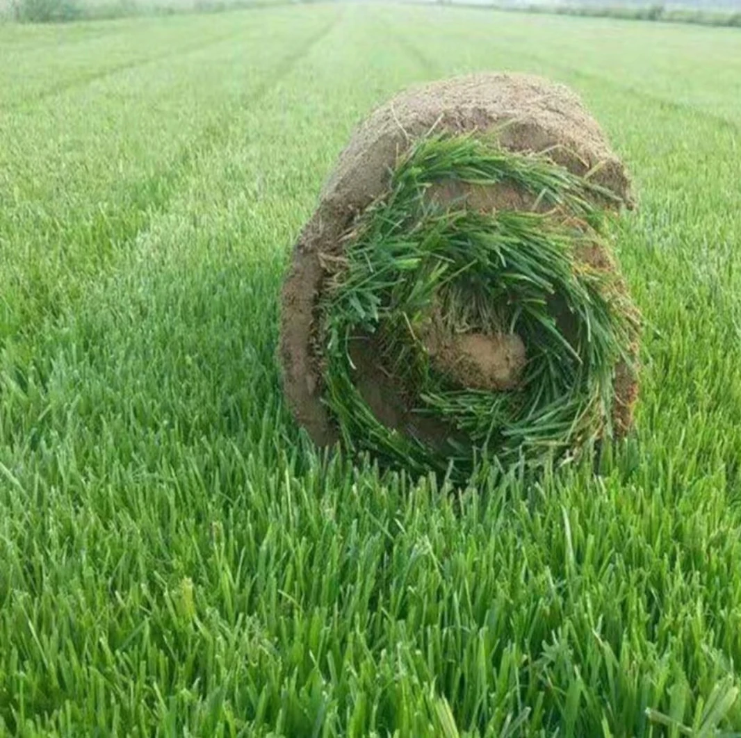 cheap prices Synthetic grass artificial turf for garden landscaping and home decor