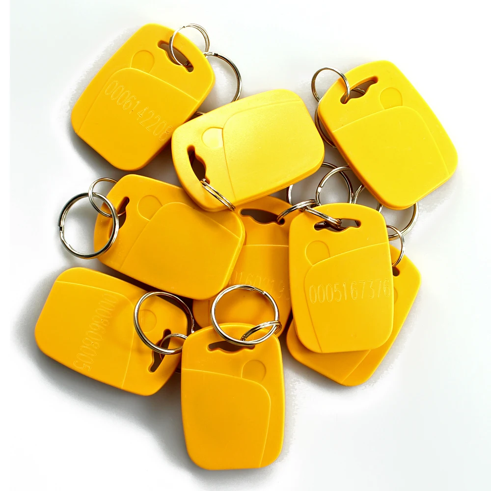 Dual frequency 125Khz EM or temic t5577 rewritable key tag and 13.56Mhz UID rfid smart keyfob