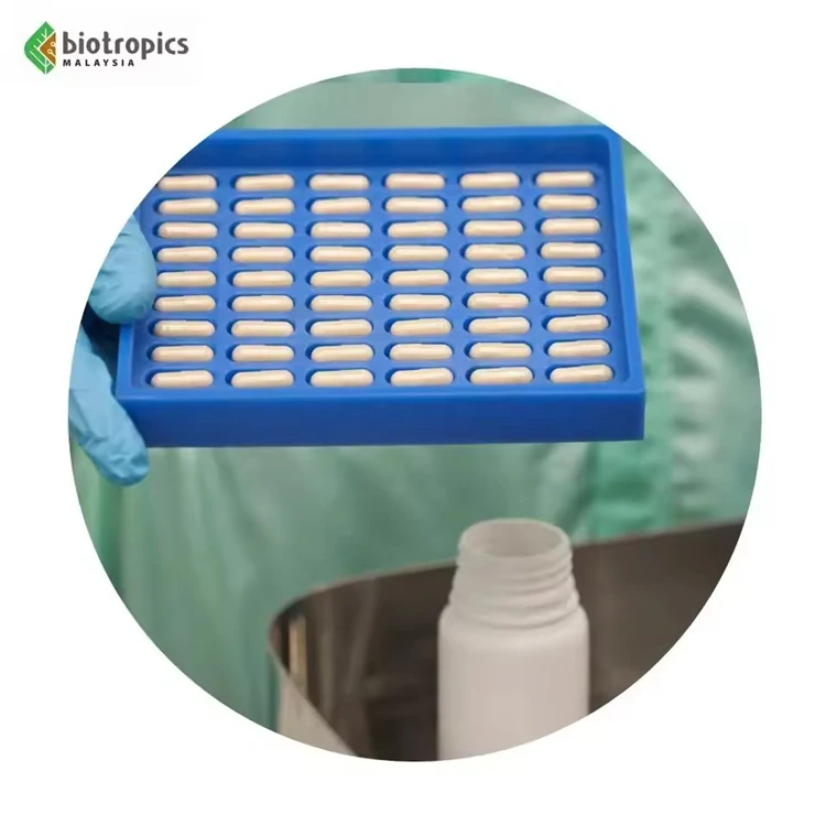 OEM Food Grade Tongkat Ali Capsules Dietary Supplement Tongkat Ali and Epimedium Capsules