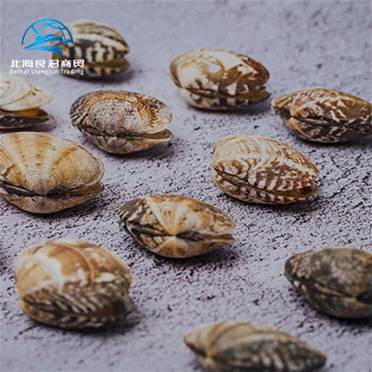 Hot selling high-quality frozen shellfish clams delicious seafood fresh frozen boiled clam meat