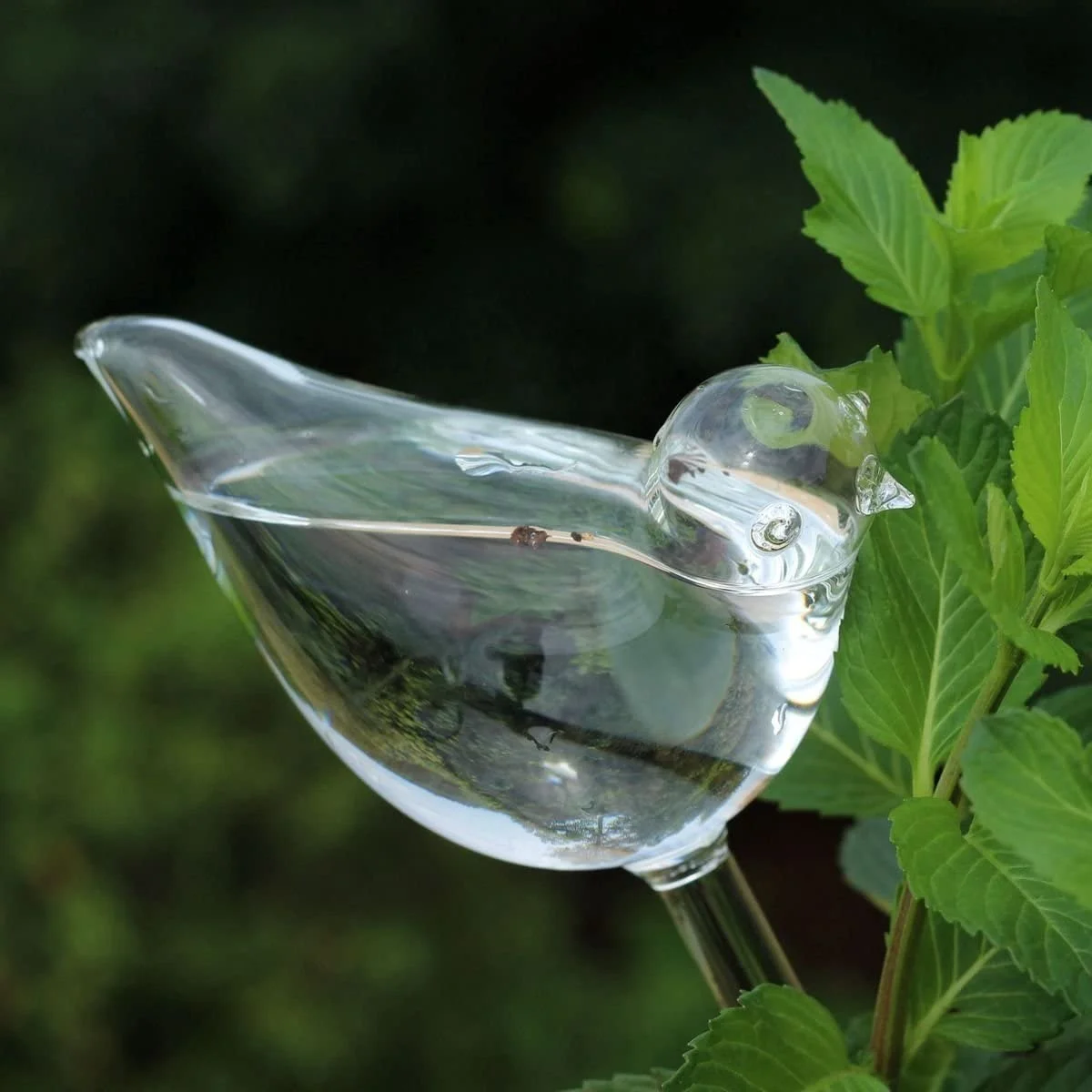 Automatic Plant Self-watering Bird Shape Clear Glass Watering
