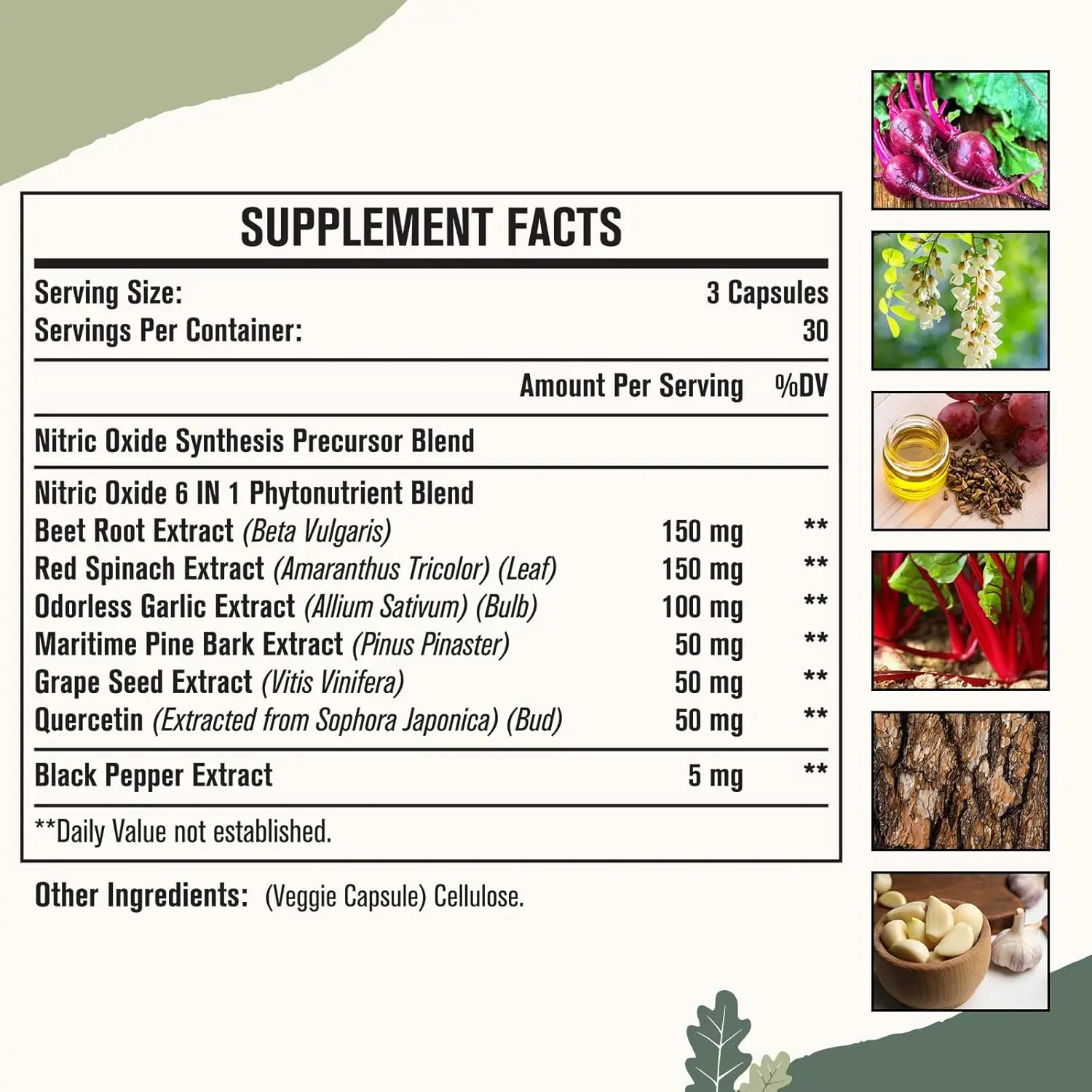Dietary supplements Nitric Oxide Supplement for Men Precursor and Phytonutrient Blend for Blood Flow Energy Oxygenation