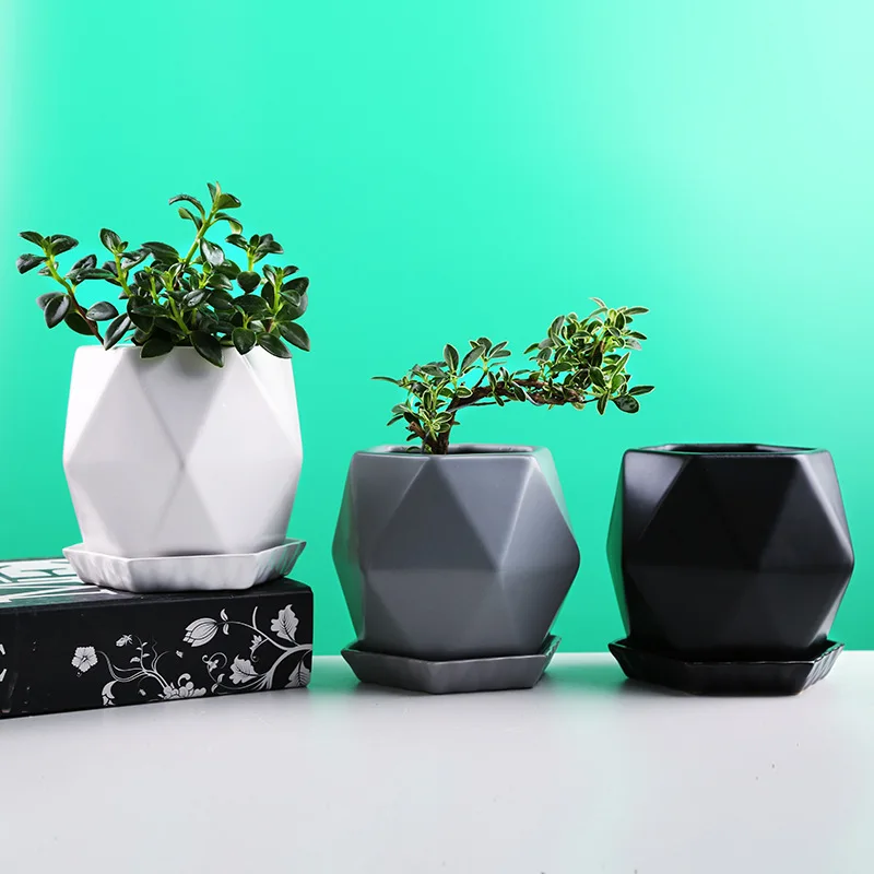 European Planter Ceramic Succulent Flowerpot