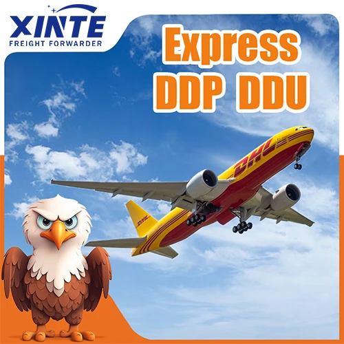 Fast and Cheap Logistics Express Door to Door DDP Service From China to Indonesia Service is Ranked top10 in Shenzhen