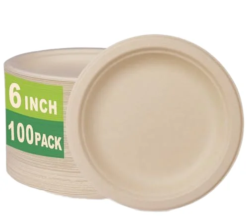 Modern Style Biodegradable Disposable Paper Plate for Restaurants and Parties Sustainable Eco-Friendly Design