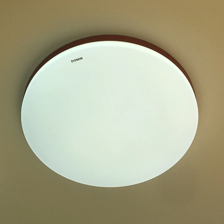 Smart Modern Surface Mounted Bedroom Living Room Light Ceiling Light Led Round Simple Body Ceiling Lamp