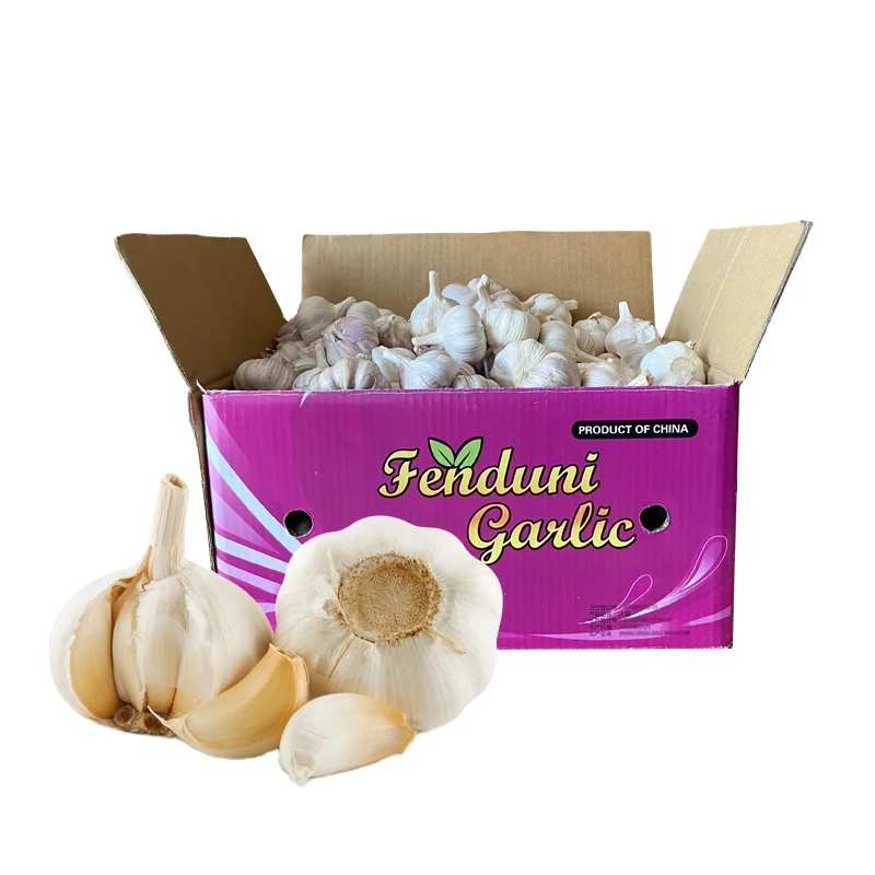 4.5cm-6.5cm normal white/pure white garlic fresh garlic for Kenya market with 10kg carton