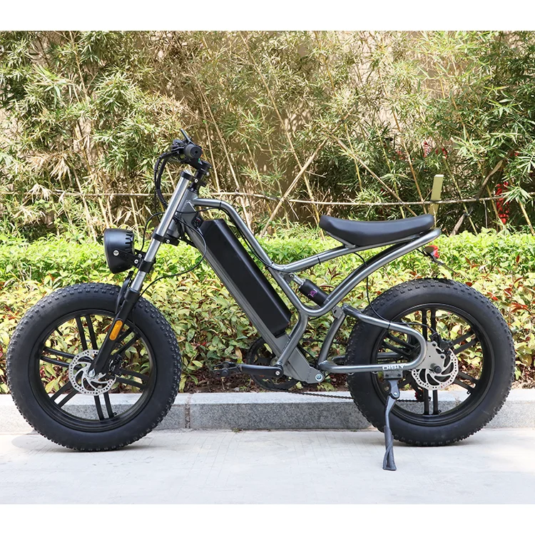 20 Inch Fat Tire All Terrain MTB 750W Electric Bike for outdoor