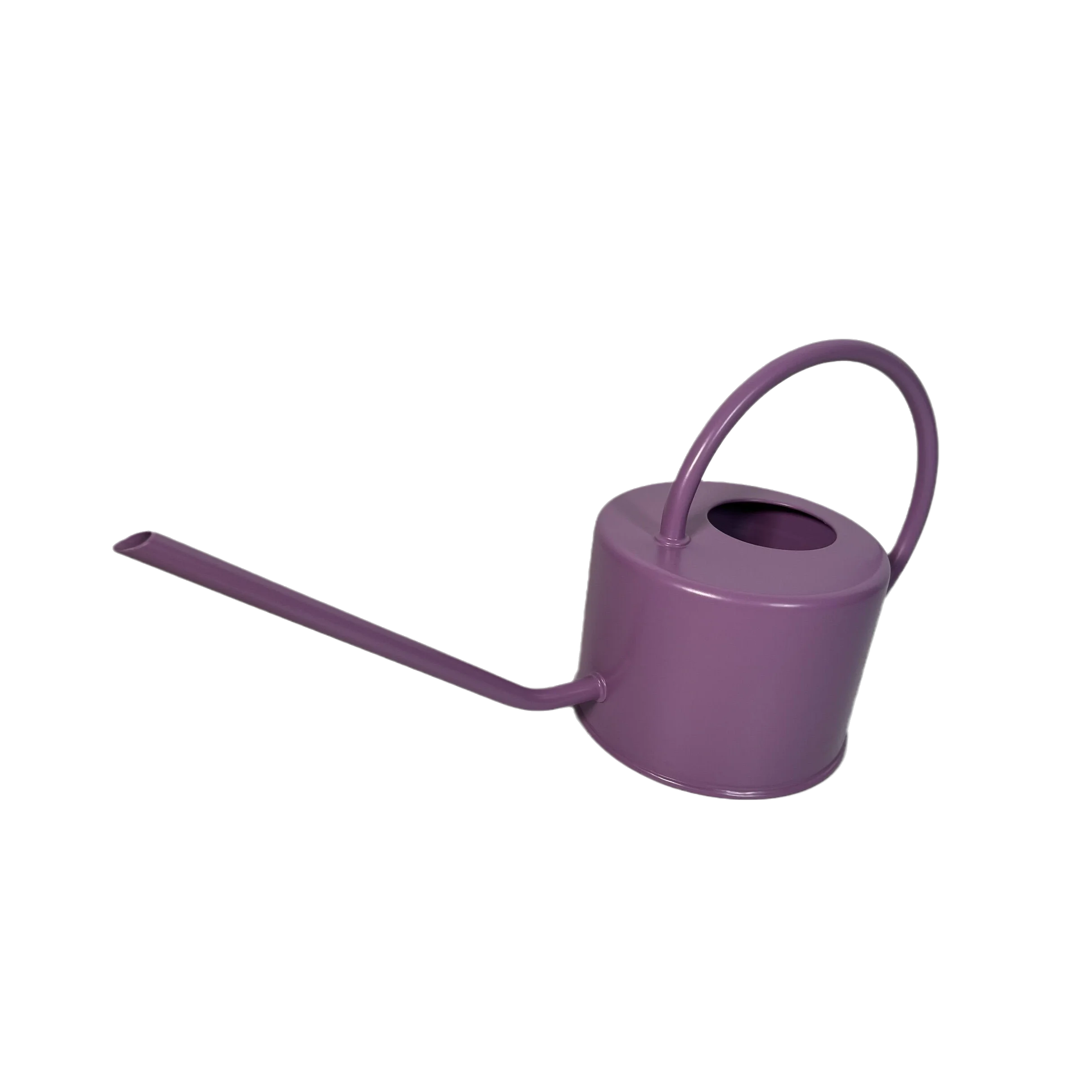 1 Gallon Watering Can With Removable Brass Rose Vintage Galvanized Steel Garden Plant Watering Can