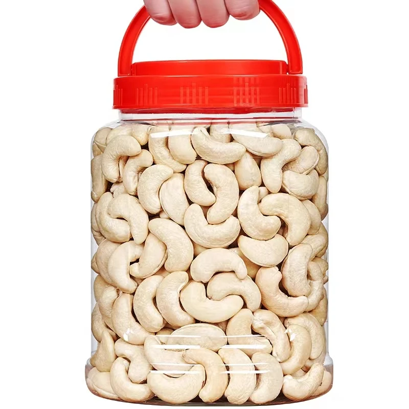 Hot Sale 2022 Roasted Salted Cashew Nuts Kernels in Vietnam